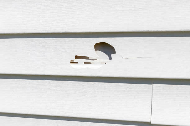 Affordable Siding Repair and Maintenance Services in Lake Mohawk, NJ