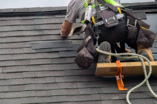 Storm Damage Siding Repair in Lake Mohawk, NJ